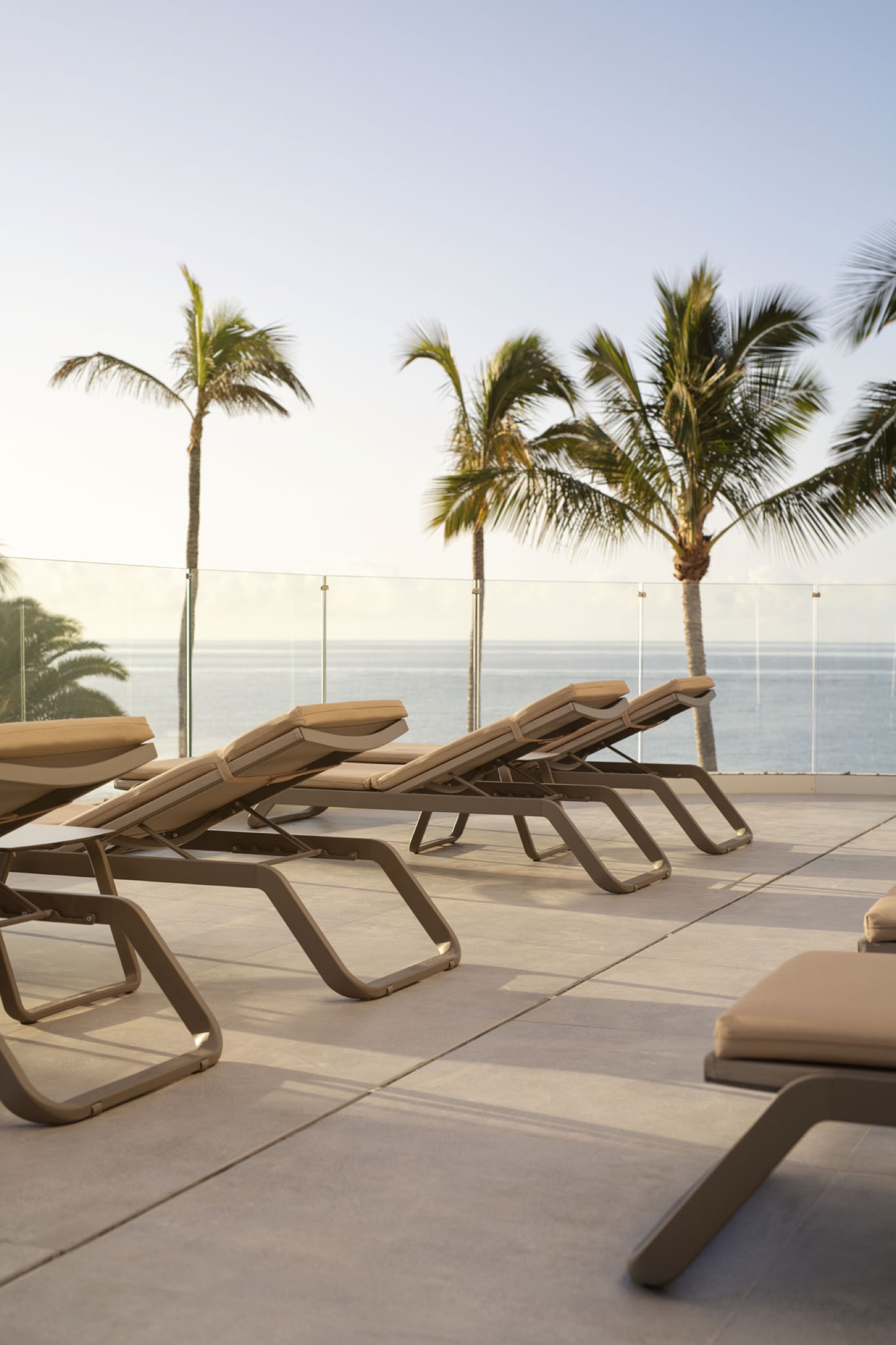 Ezpeleta contract sun loungers on a palm-lined oceanfront pool deck