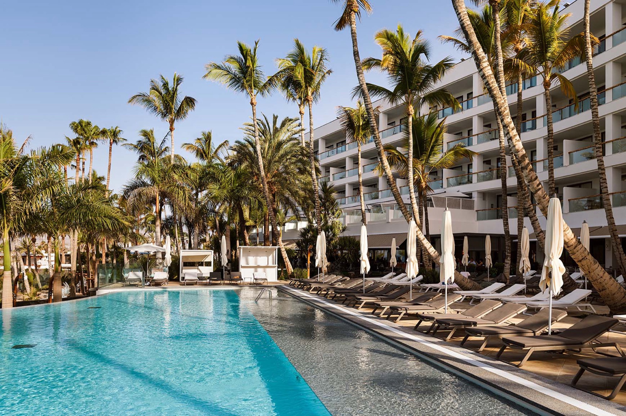 Row of contract Ezpeleta chaise loungers beside an infinity pool with palm trees